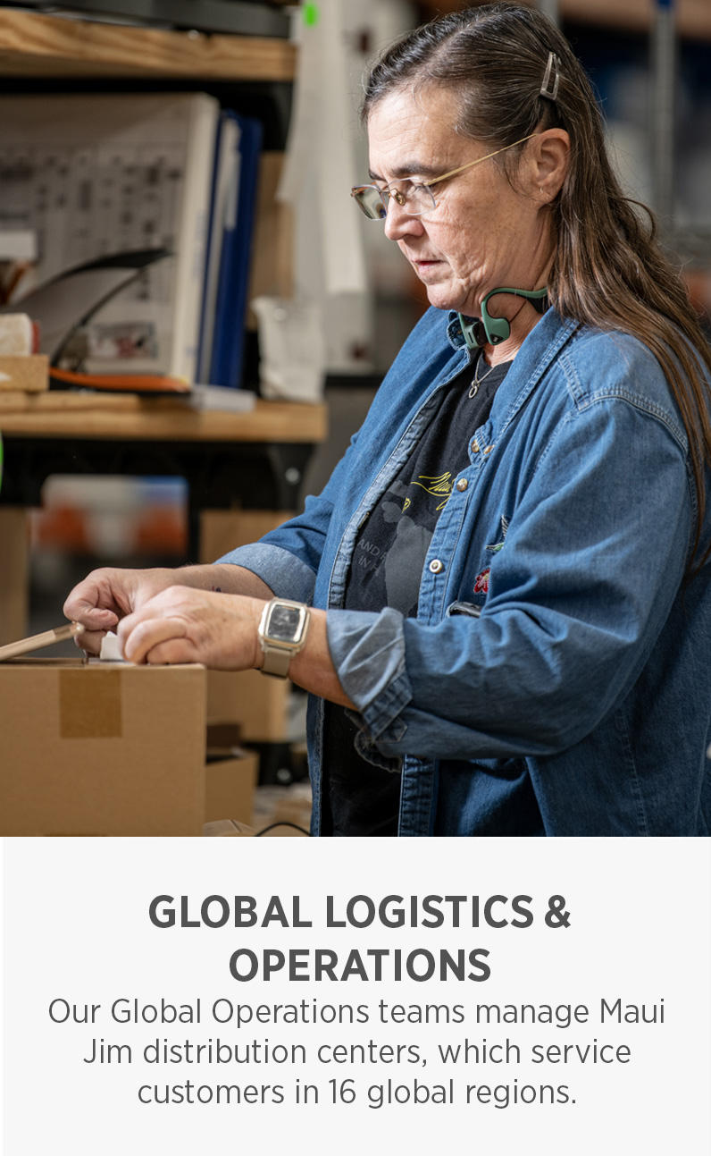 Global Logistics and Operations